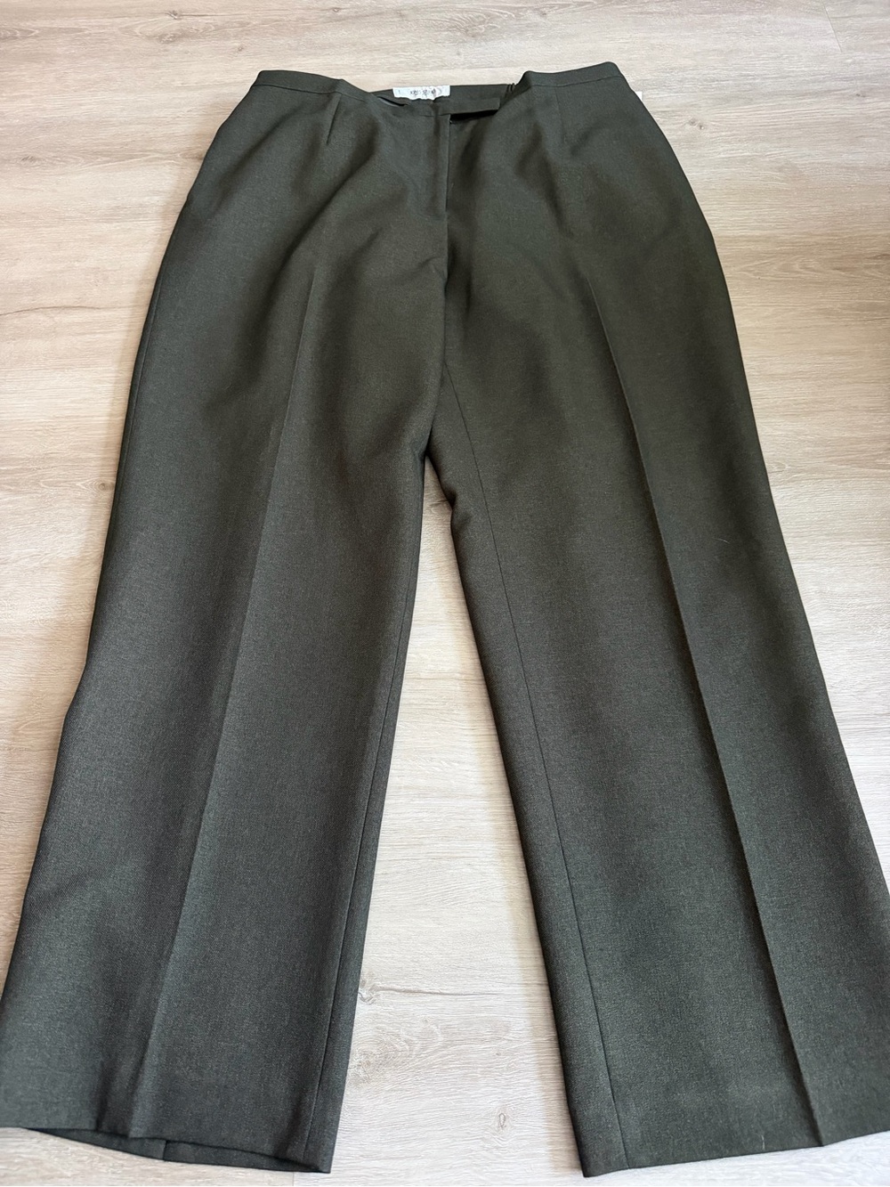 Jones Studio Lined Dress Pants Brown NWT SZ 16W